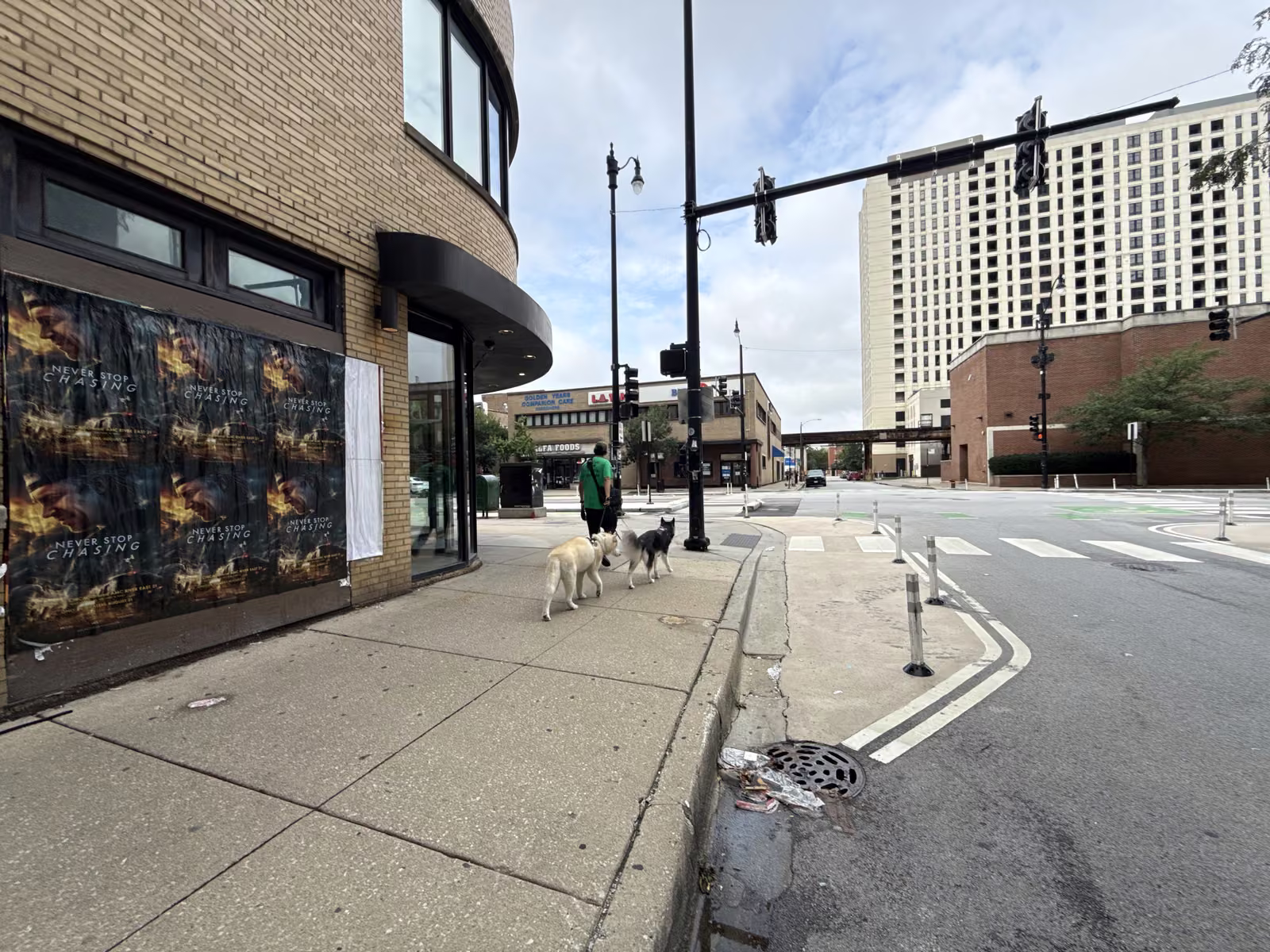 Never Stop Chasing wild posting at 1259 S Wabash Ave, South Loop, Chicago